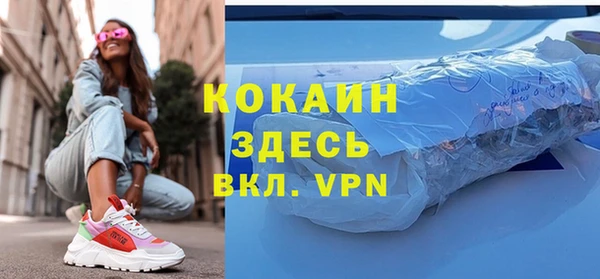 индика Алексеевка
