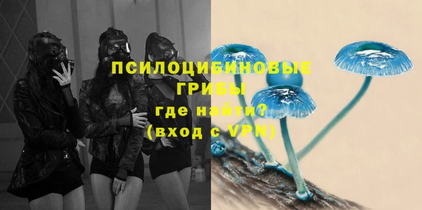 индика Алексеевка