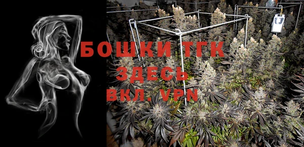индика Алексеевка