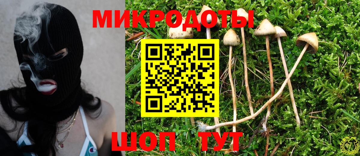 Псилоцибиновые грибы Psilocybine cubensis  Псилоцибиновые грибы MAGIC MUSHROOMS  Вход с VPN  Избербаш 