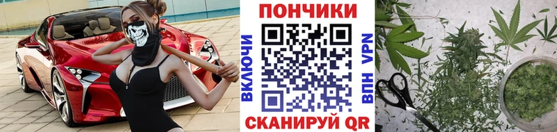 МАРИХУАНА конопля  как найти наркотики  Избербаш 