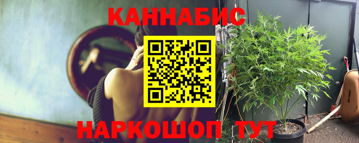 Канабис семена  Вход с VPN  Избербаш  МАРИХУАНА VHQ 
